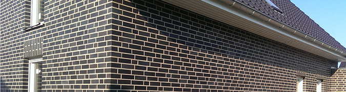 NetObjects Fusion 12.0